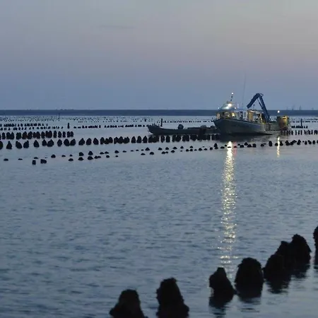Maison 4 Personnes à 600m De La Plage, Animaux Admis - Fr-1-194-431 Hébergement de vacances