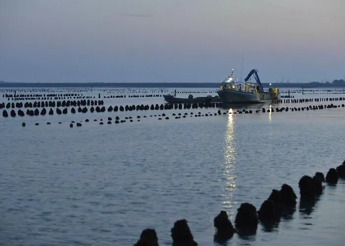 Maison 4 Personnes à 600m De La Plage, Animaux Admis - Fr-1-194-431 Hébergement de vacances